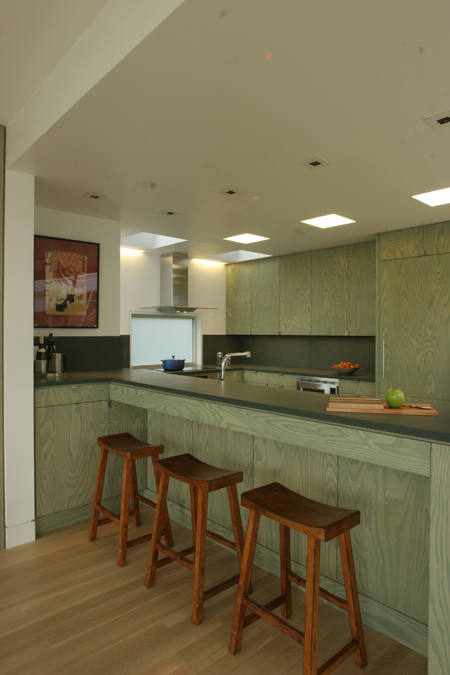 Berkeley Hills House